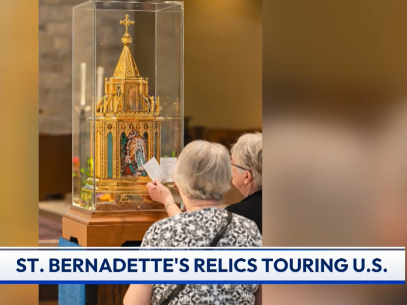 A Life-Changing Pilgrimage to Lourdes: One Boy's Story of Hope | EWTN News Nightly